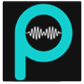 ”Performans Radyo