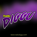 Radio Diggu icône
