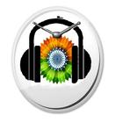 Indian RadioHub icône