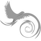 Ravensurance Agency ikona