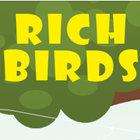 RichBirds ícone