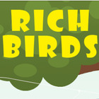 RichBirds 아이콘