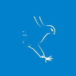 SCF web app