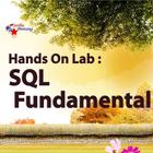 Hands on Lab - SQL Fundamental - Free tutorial Zeichen