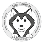 STAR DONBASS icône