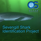 Sevengill Shark Observer icône