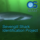 Sevengill Shark Observer biểu tượng