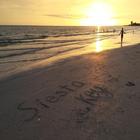 Siesta Beach Report 图标