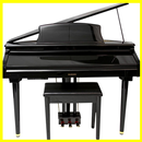 Digital Piano -Suzuki MDG-300 Grand Piano Review APK