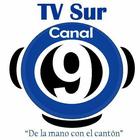 TV SUR CANAL 9 DE COSTA RICA иконка