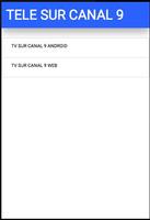 TV SUR CANAL 9 DE COSTA RICA पोस्टर