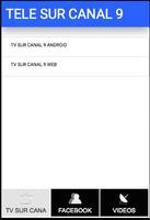 TV SUR CANAL 9 DE COSTA RICA скриншот 1