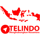 TELINDO icon