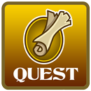 Text Quest Challenge APK