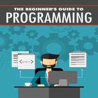 Beginners Guide to Programming poster