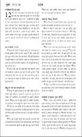 The Hindi Holy Bible NT скриншот 2