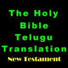 The Telugu Bible NT-icoon