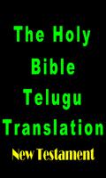 The Telugu Bible NT screenshot 3