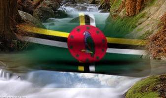 the government of Dominica 截图 1