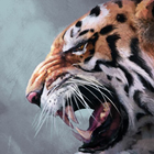 Tiger Wallpaper Changer 图标