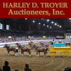 ikon Troyer Auctions