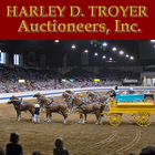 Troyer Auctions Zeichen