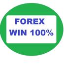 Learn Forex Trading No loss APK