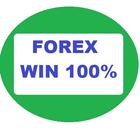 Learn Forex Trading No loss ikona