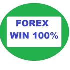 Learn Forex Trading No loss ícone