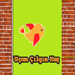 Uçan Çılgın Kuş & Flying Crazy Bird APK