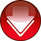 Video Downloader App