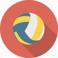 Volleyball pro
