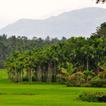 Wayanad Railway