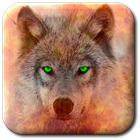 Wolves Live icône