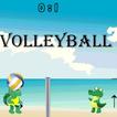 ”Volleyball