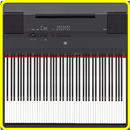 Piano Digital Video Demo Reviews-P-115 88-Key APK