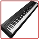 Digital Piano Yamahap45 Video Reviews APK