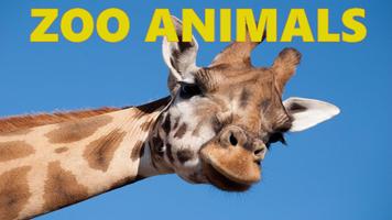 Zoo Videos for Kids Plakat