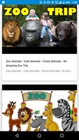 Zoo Videos for Kids Screenshot 3