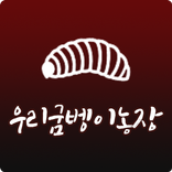 우리 굼벵이 농장