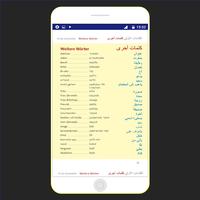 أكاديمية اللغة الألمانية - قاموس عربي ألماني screenshot 3