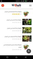 شملولة تصوير الشاشة 1