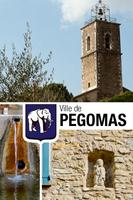 Pegomas Affiche