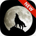 Wolf Moon Wallpapers