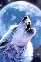 Wolf Moon Wallpapers capture d'écran 2
