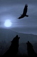 3 Schermata Wolf Moon Wallpapers