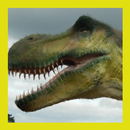 Dino Sound Ringtones APK