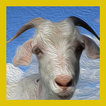 Goat Sounds Mbeek
