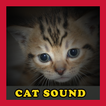 ”Meow Cat Sounds