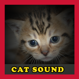 Meow Cat Sounds आइकन